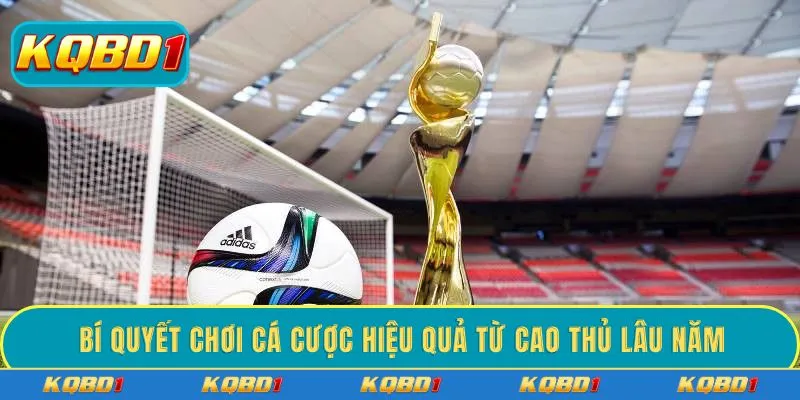 Bí quyết chơi cá cược hiệu quả từ cao thủ lâu năm